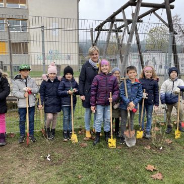 10-Jahreszeiten-Hecke| Živa meja 10ih  letnih časov