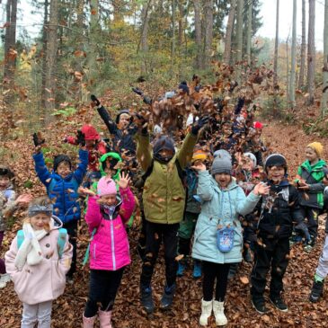 Im Wald / V gozdu